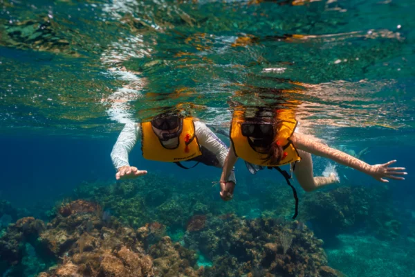 Speed Snorkel & Kayak Combo