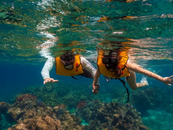 Speed Snorkel & Kayak Combo