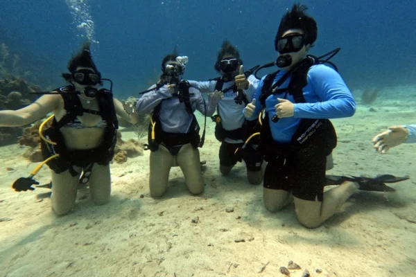Discover Scuba Diving