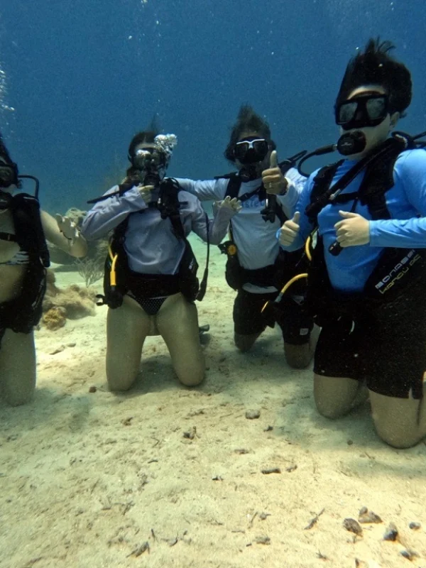 Discover Scuba Diving