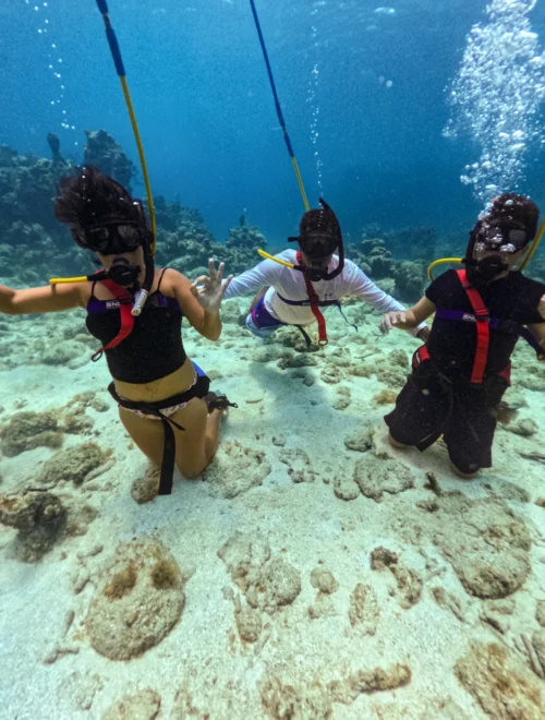 Snuba Diving & Beach Access