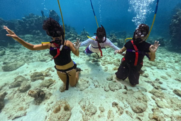 Snuba Diving & Beach Access