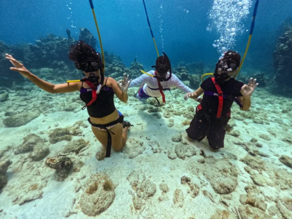 Snuba Diving & Beach Access