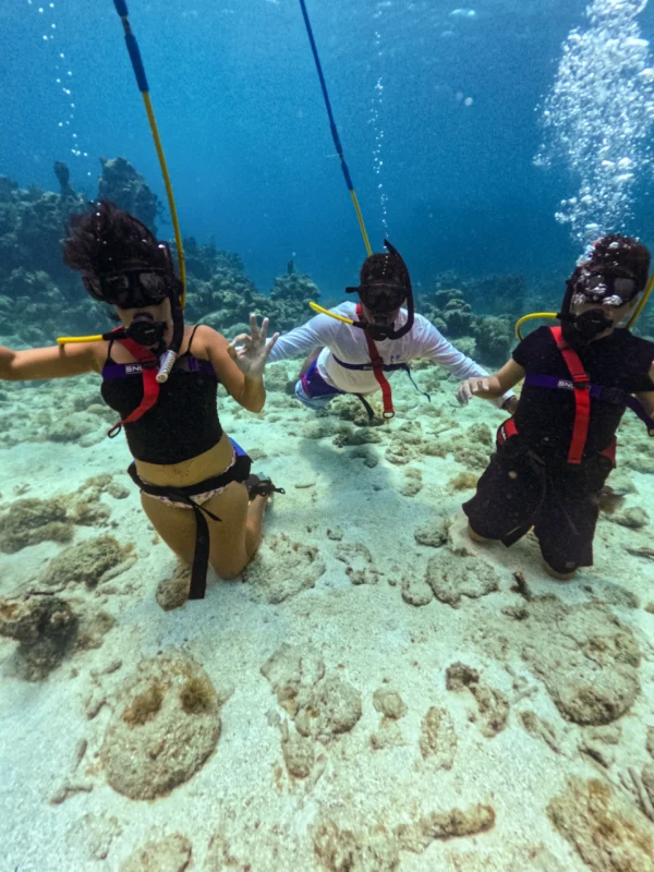 Snuba Diving & Beach Access