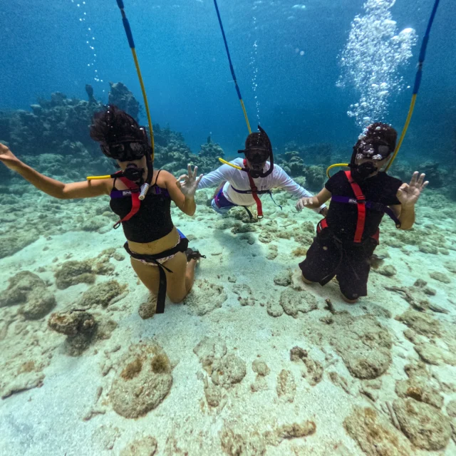Snuba Diving & Beach Access